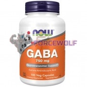 GABA [ГАБА] (750 мг x 100 капс), NOW Foods